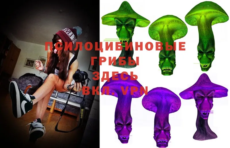 ссылка на мегу сайт  где найти   Кириши  Галлюциногенные грибы MAGIC MUSHROOMS 